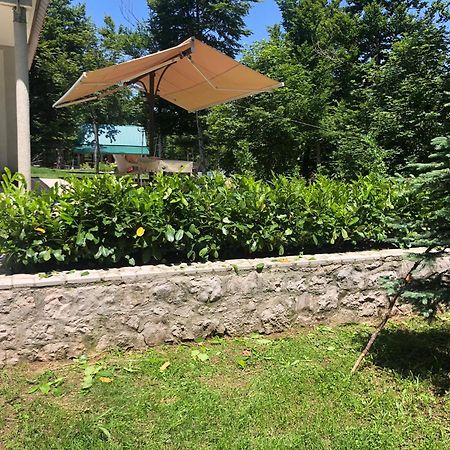 Mountain House Ivanova Korita Cetinje Luaran gambar